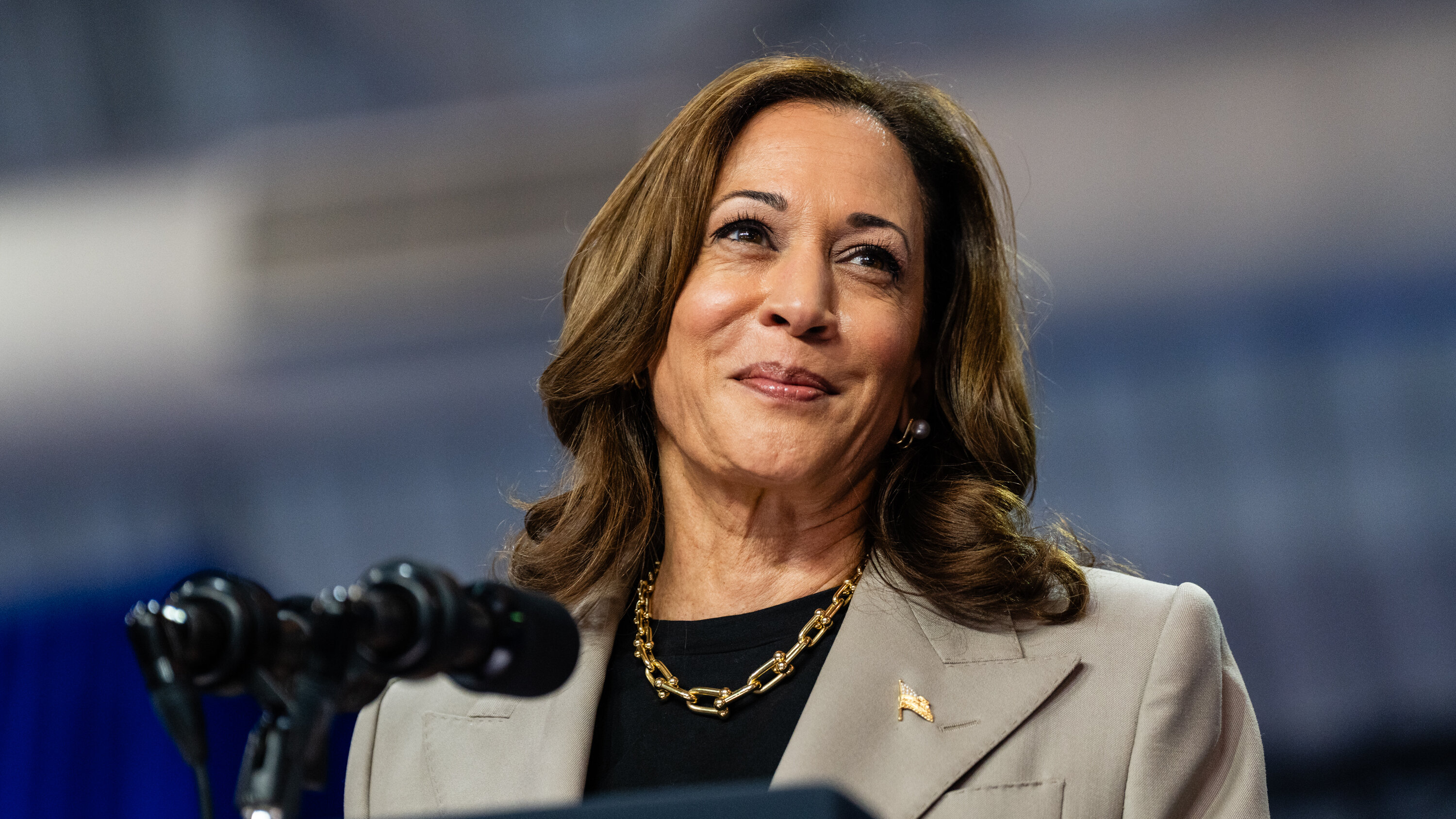 Harris Campaign Reserves $370 Million for Swing-State Fall Ad Blitz